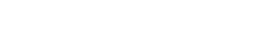 Logo Starvision 20 Anos